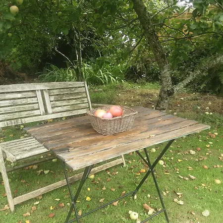 Tranquil Wood Cabin Set In A Beautiful Orchard * Penzance